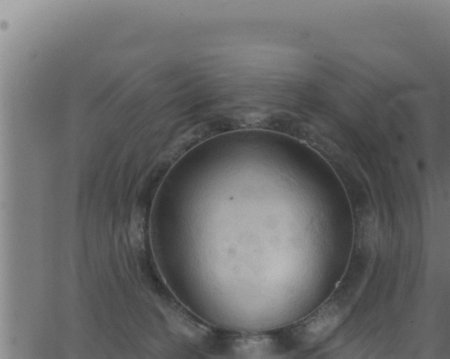 X0000062890274200601171521