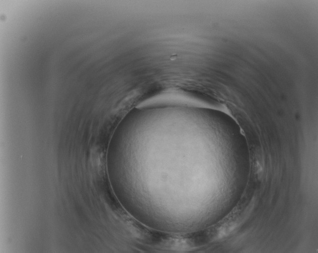 X0000062890276200601171521