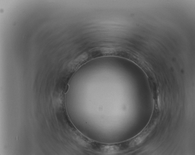 X0000062890277200601171521