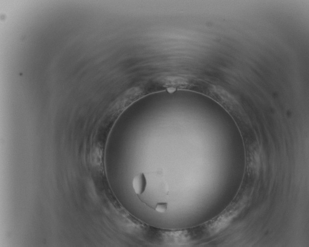 X0000062890281200601171521