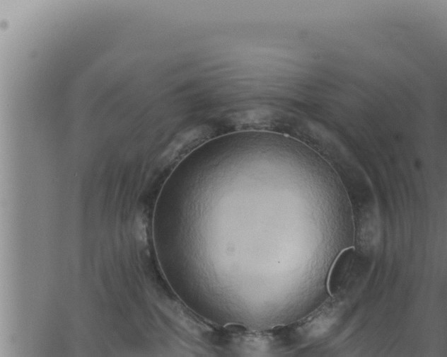 X0000062890282200601171521