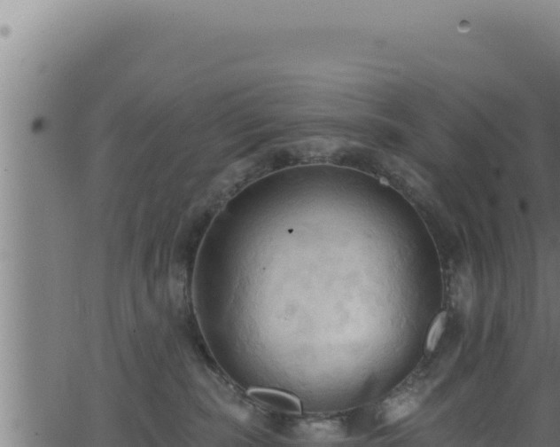 X0000062890283200601171521