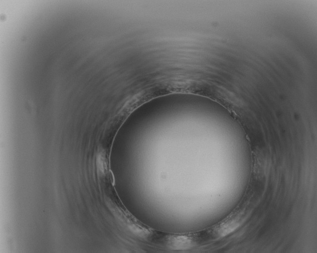 X0000062890287200601171521