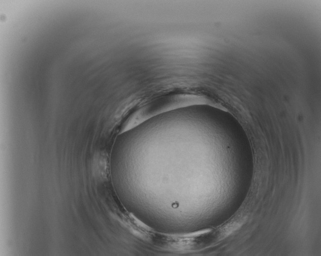 X0000062890288200601171521