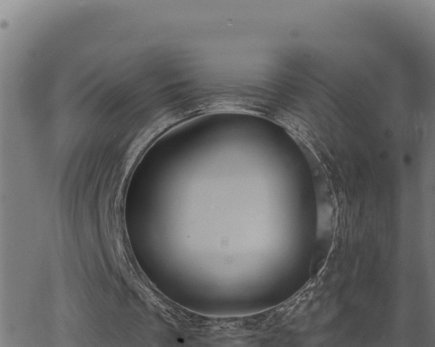 X0000062890289200601171521