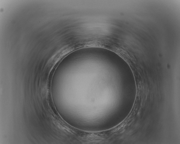 X0000062890290200601171521