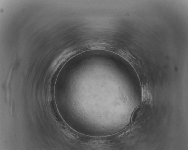 X0000062890291200601171521