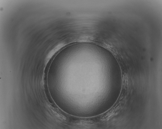 X0000062890292200601171521