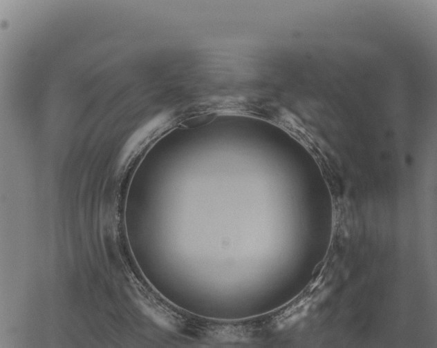 X0000062890293200601171521