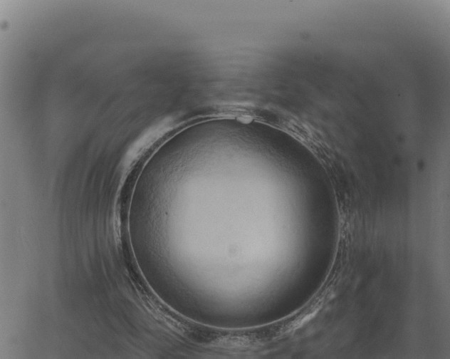 X0000062890294200601171520