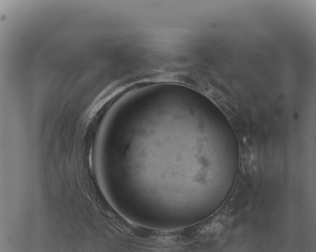 X0000062890295200601171520