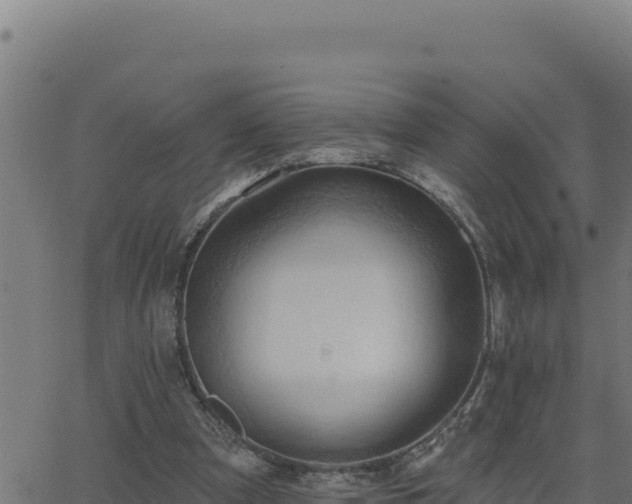 X0000062890297200601171520