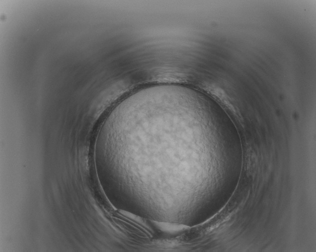 X0000062890299200601171520