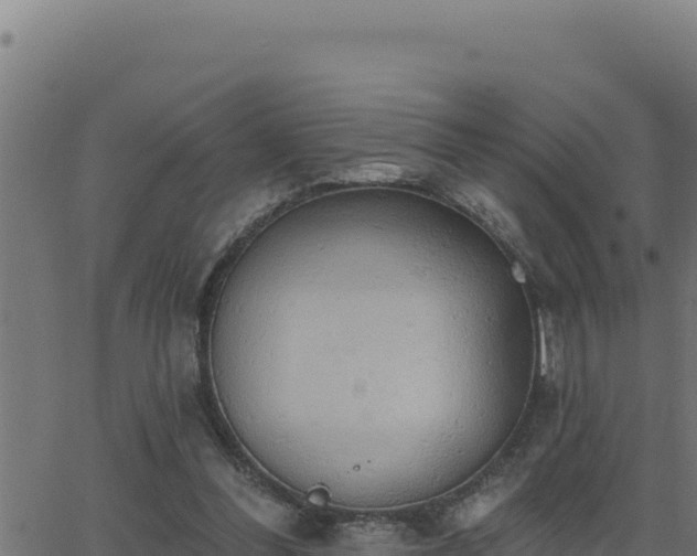 X0000062890300200601171520