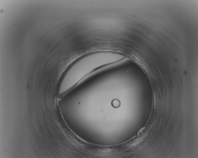 X0000062890301200601171520