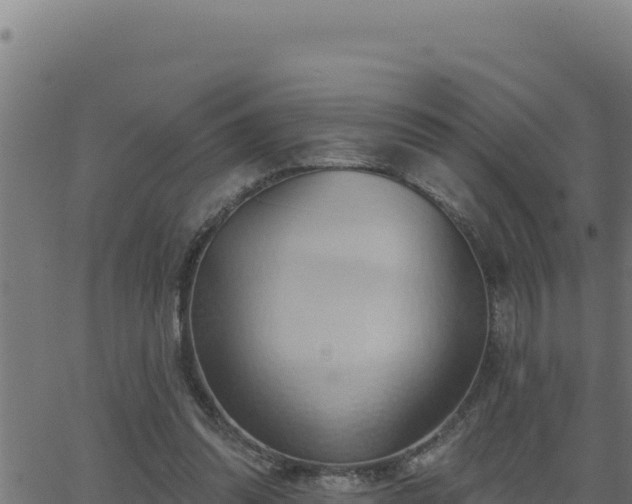 X0000062890302200601171520