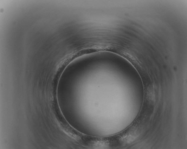 X0000062890303200601171520