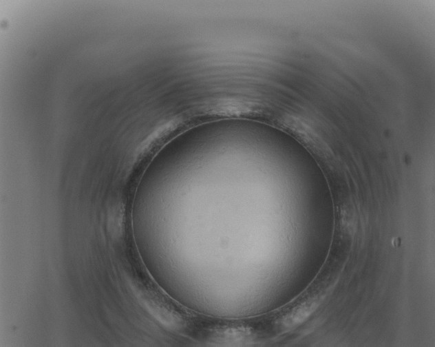 X0000062890304200601171520