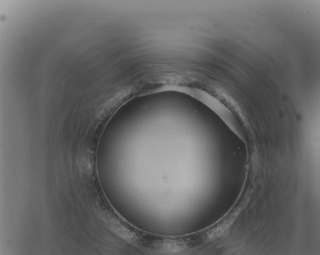 X0000062890305200601171520