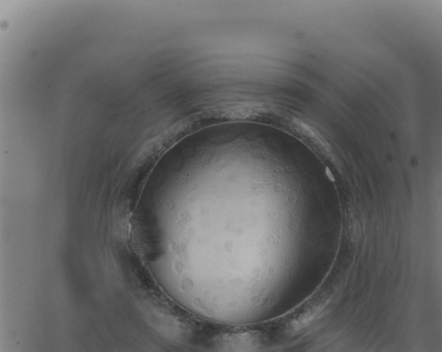 X0000062890307200601171520