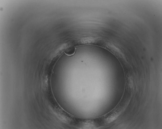 X0000062890308200601171520