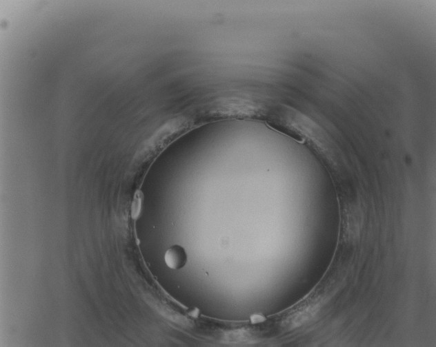 X0000062890309200601171520