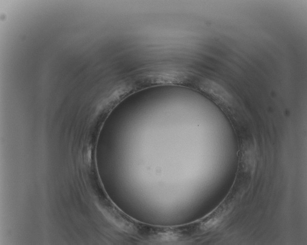 X0000062890310200601171520