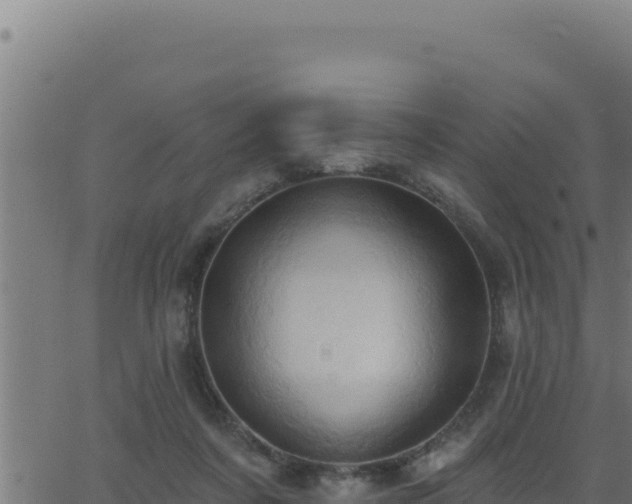 X0000062890311200601171520