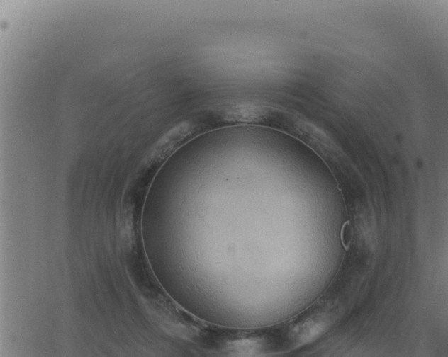 X0000062890312200601171520