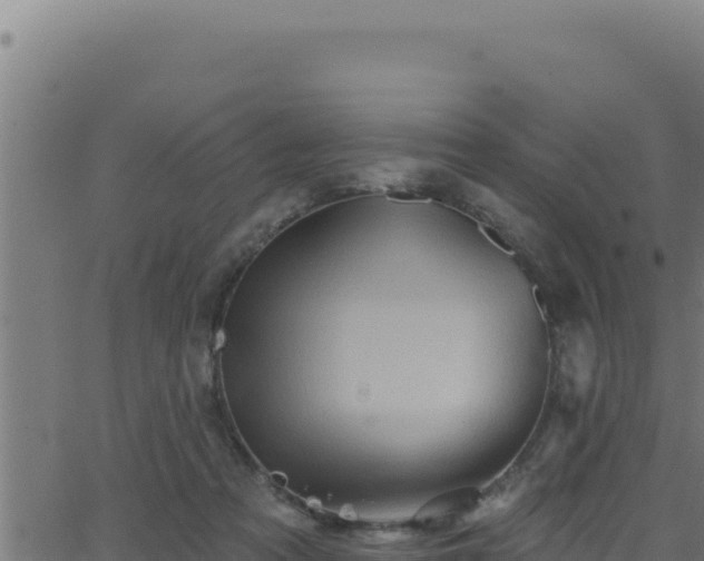 X0000062890313200601171520