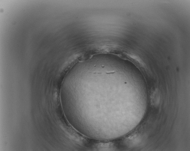 X0000062890314200601171520