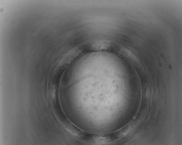 X0000062890315200601171520