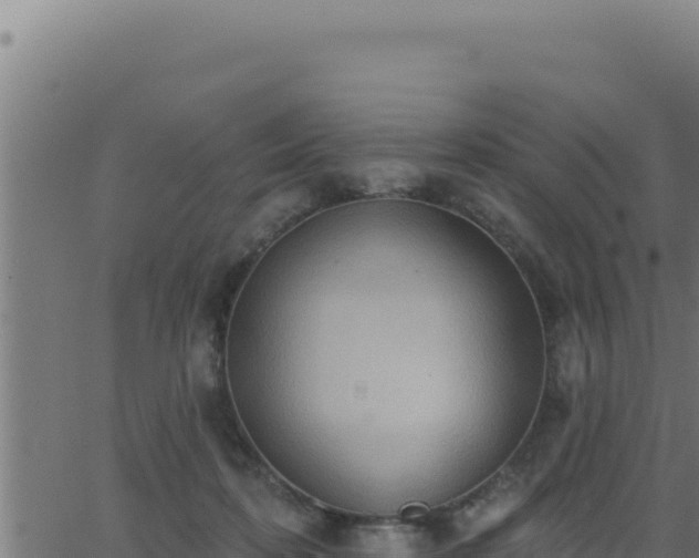 X0000062890316200601171520