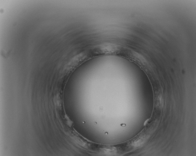 X0000062890317200601171520