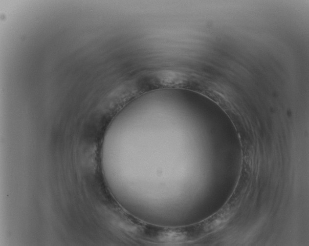 X0000062890319200601171520