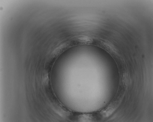 X0000062890320200601171520