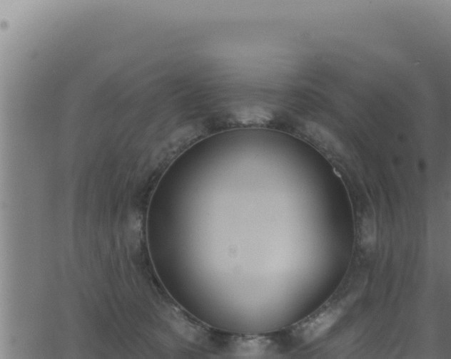 X0000062890321200601171520