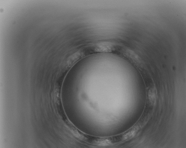 X0000062890322200601171520