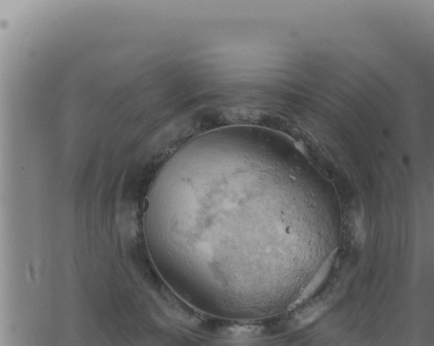 X0000062890323200601171520