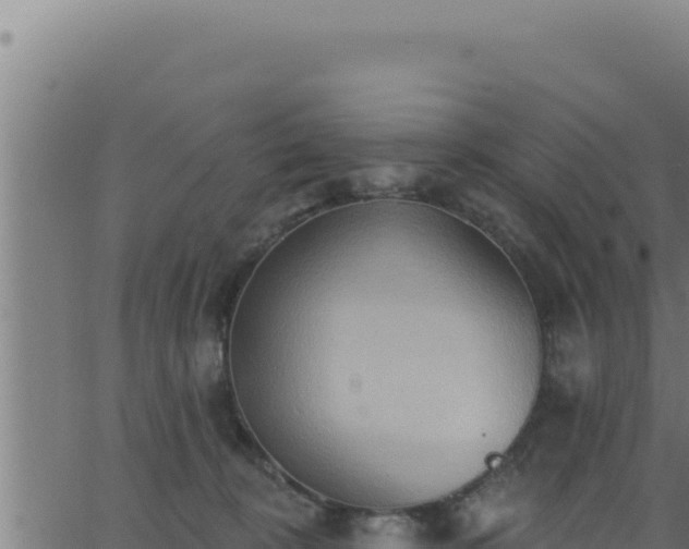 X0000062890324200601171520