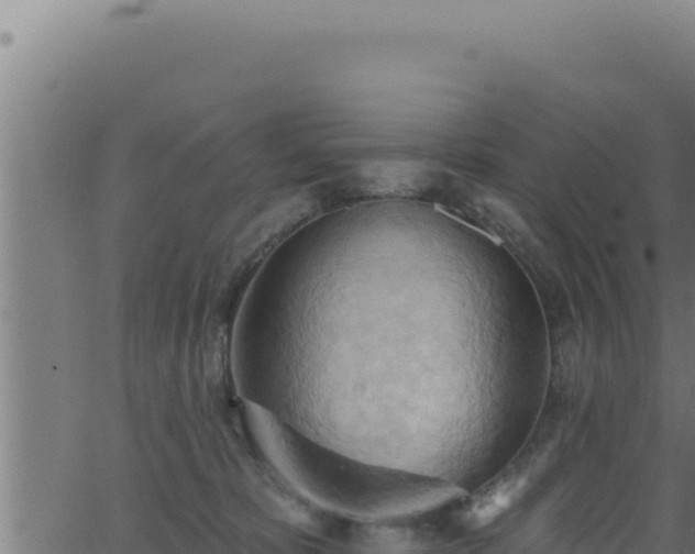 X0000062890325200601171520