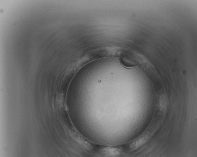 X0000062890326200601171520