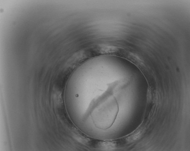 X0000062890327200601171520