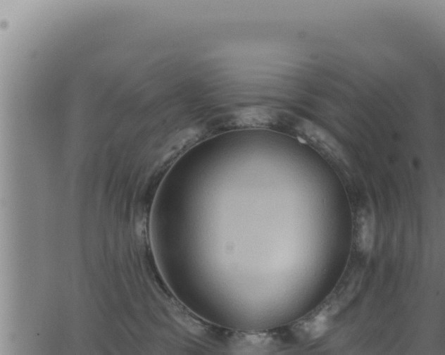 X0000062890329200601171520