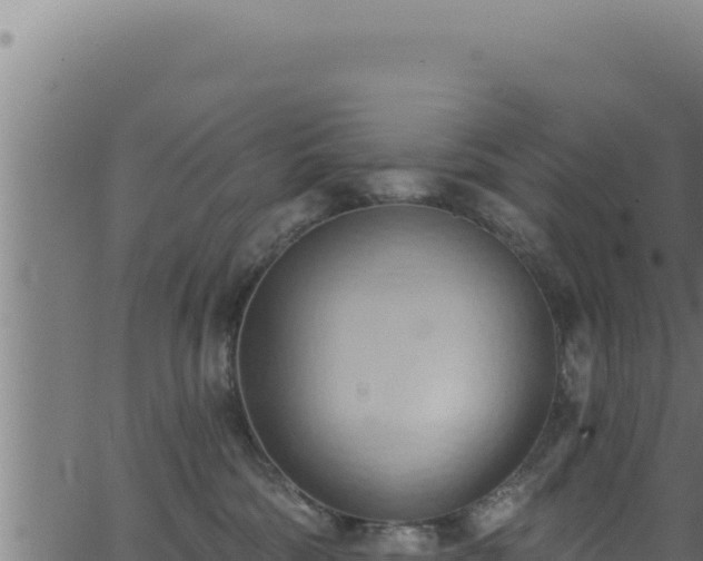 X0000062890330200601171520