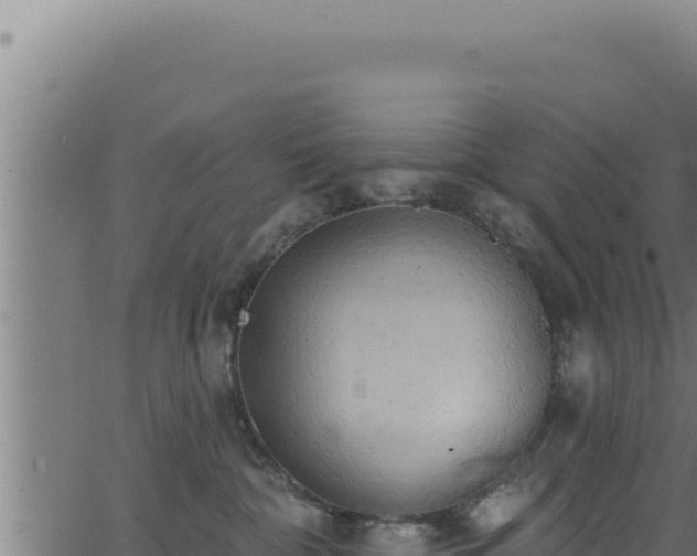 X0000062890332200601171520