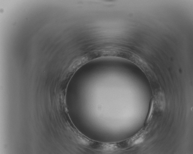 X0000062890333200601171520