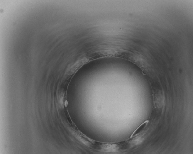 X0000062890334200601171520