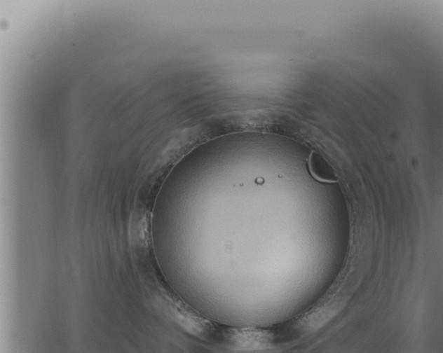 X0000062890336200601171520