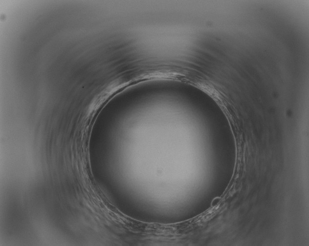 X0000062890337200601171519